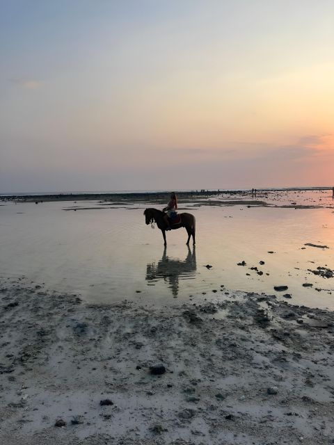 Horse Ride On The Beach on Gili Island - Inclusions and Exclusions