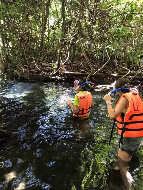 Krabi: Amazon Klong Srakaew Kayaking And Elephant Feeding
