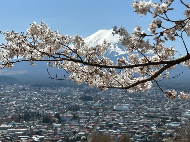 Mt.Fuji Tour, Tokyo / Yokohama ⇒ Tokyo, 2-4 Guests - Included Amenities