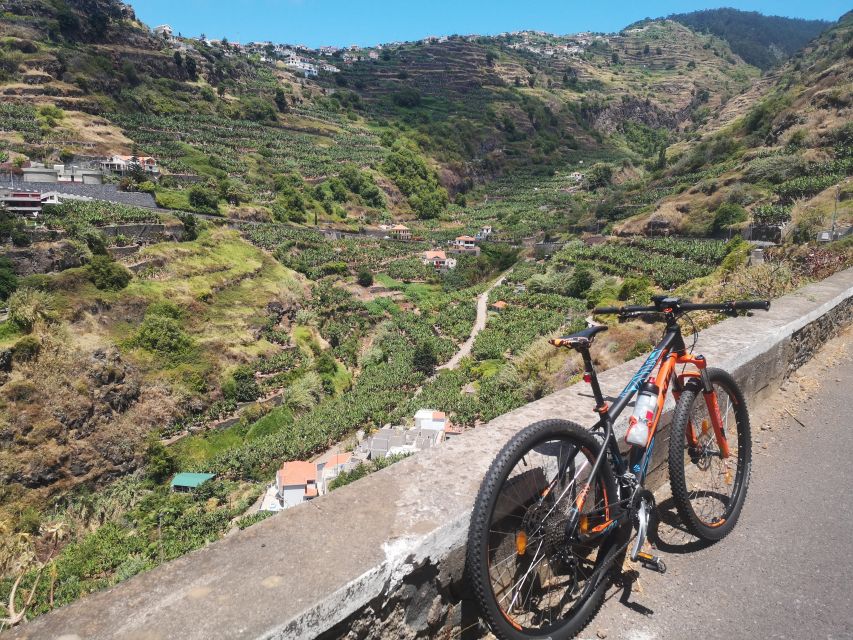 Ponta Do Sol: Guided Sightseeing E-Bike Tour - Customer Feedback