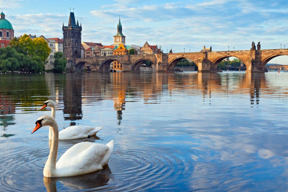 Prague: First Discovery Walk and Reading Walking Tour - Customer Feedback