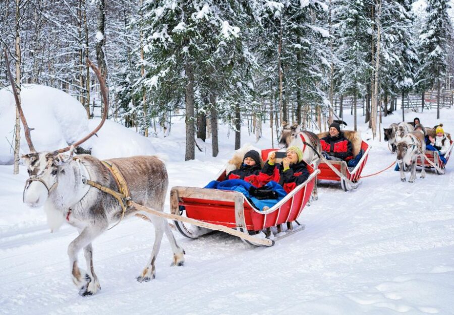 Rovaniemi: Authentic Reindeer Farm Visit and Sleigh Ride