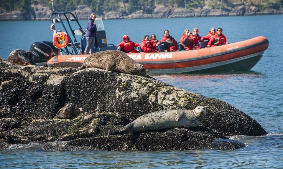 Vancouver: Howe Sound Fjords, Sea Caves & Wildlife Boat Tour - Meeting Point and Arrival Time