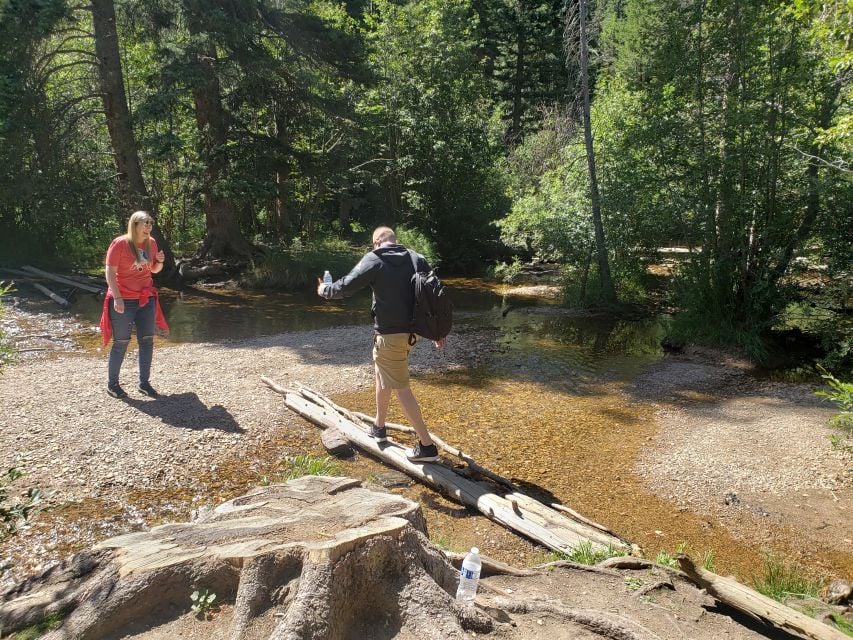 Denver: Rocky Mountain National Park Tour With Picnic Lunch - Customer Reviews and Feedback