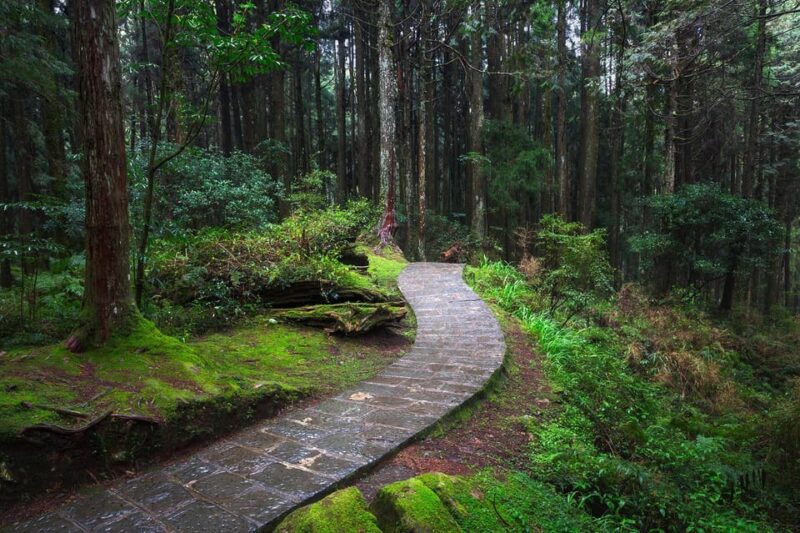 📸🌄 Exclusive 3-Day Sun Moon Lake & Alishan Private Tour - Pickup and Accommodations