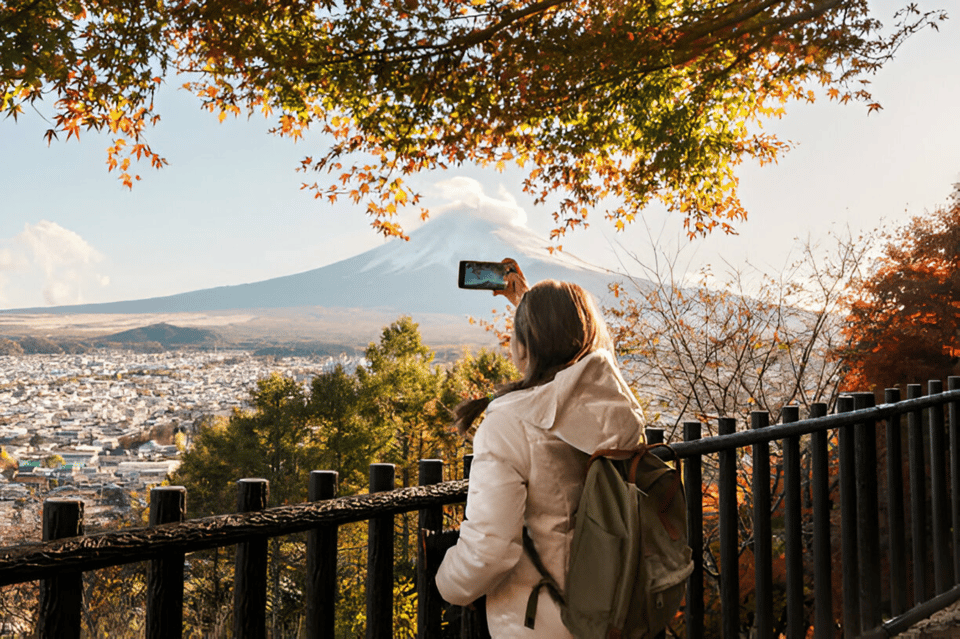 From Tokyo: Mount Fuji and Hakone Full Day Trip - Riding the Hakone Ropeway