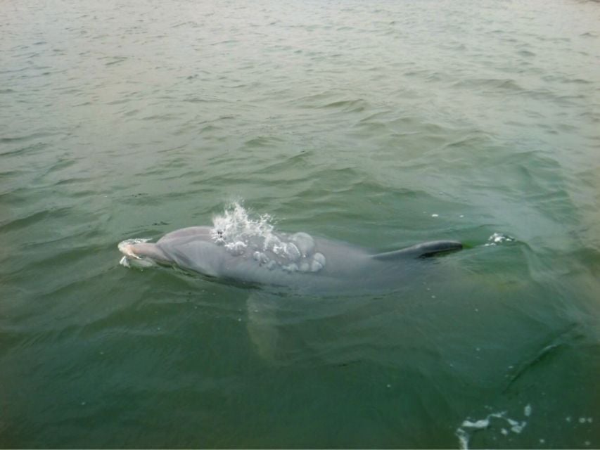 Hilton Head Island: Sunset Creek Cat Boat Tour - Participant Restrictions