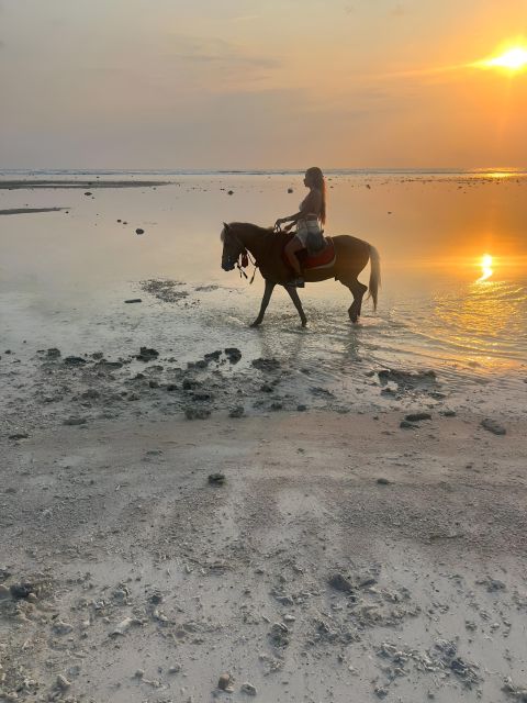 Horse Ride On The Beach on Gili Island - Customer Reviews and Ratings