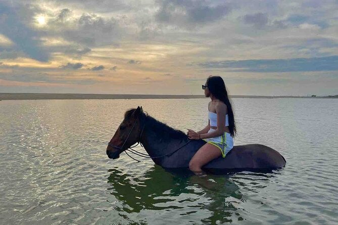 Horseback Riding on the Beaches of Holbox - Traveler Reviews and Feedback