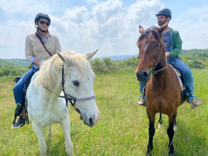 Horseback Riding Tour Near Prague - Safety and Welfare