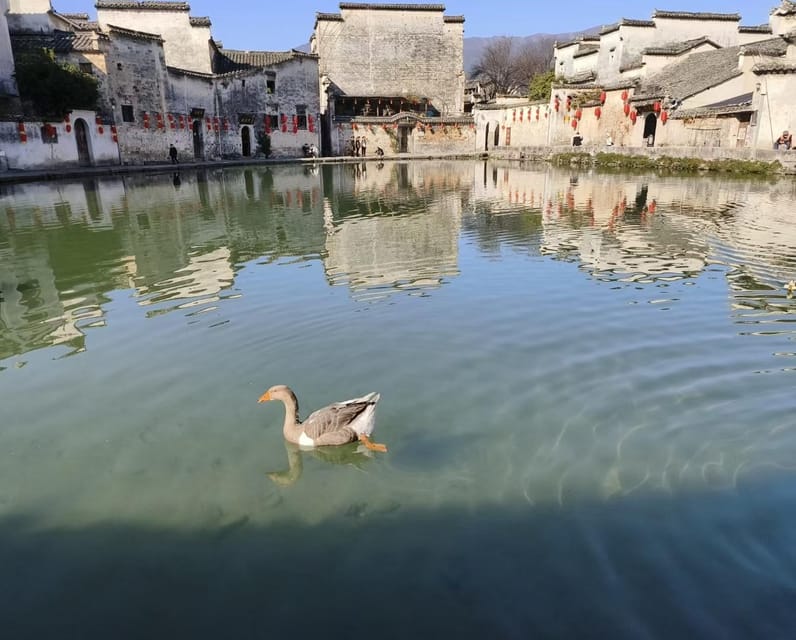 Huangshan：Ancient Huizhou Villages Xidi and Hongcun Day Trip - Participant Restrictions and Recommendations