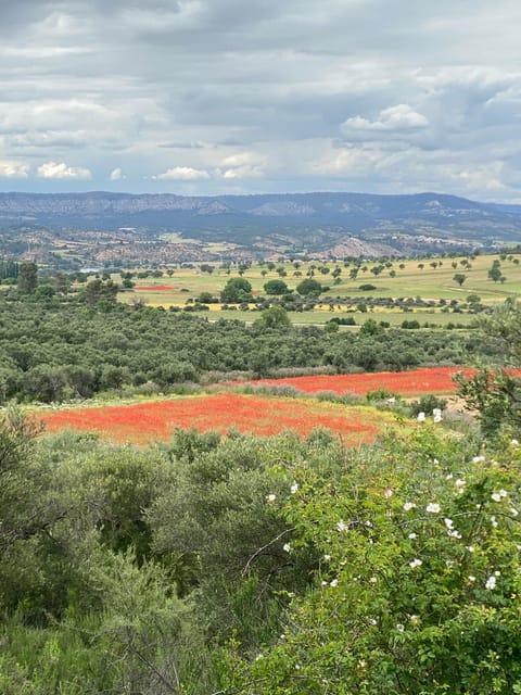 Madrid: Unspoiled Spain for Foodies & Nature ❤️'s - Itinerary Highlights and Activities
