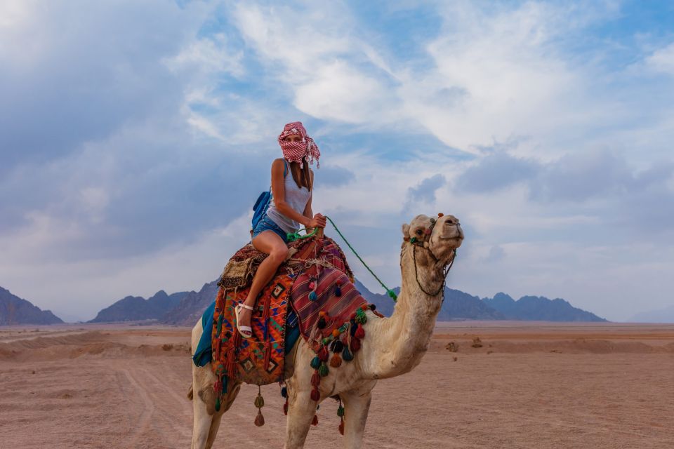 Marsa Alam: Desert Stargazing Tour With Camel Ride & Dinner - Customer Ratings Summary