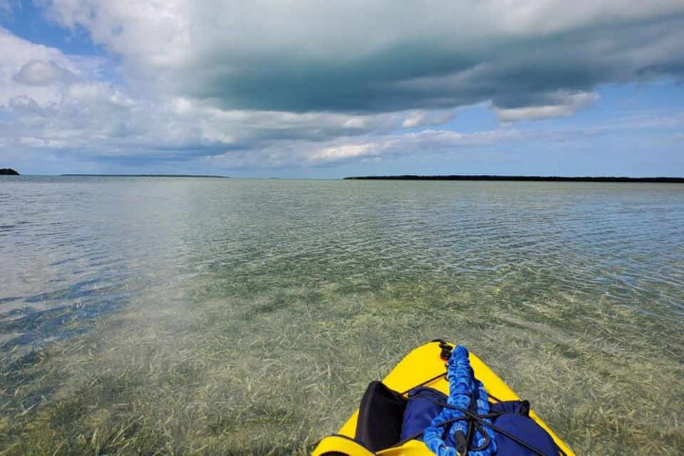 Miami: Everglades National Park Hiking And Kayaking Day Trip