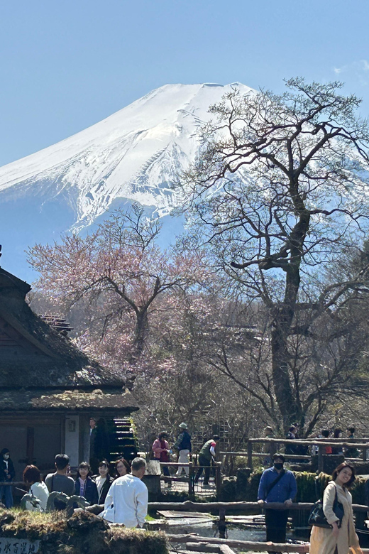 Mt.Fuji Tour, Tokyo / Yokohama ⇒ Tokyo, 2-4 Guests - Customization Options