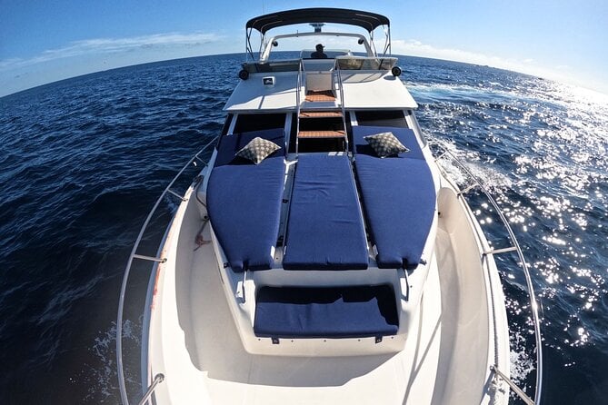 PRIVATE Whale Watching Tour and Snorkeling Tour Cabo San Lucas - Whale Watching Experience