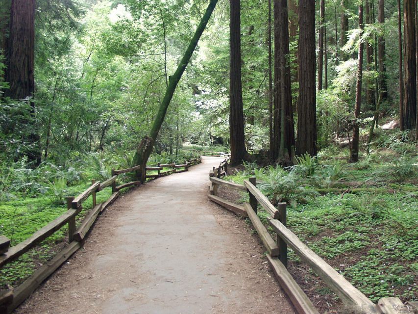 San Francisco: Muir Woods Tour & SF Hop-on Hop-off Bus Tour - Frequently Asked Questions