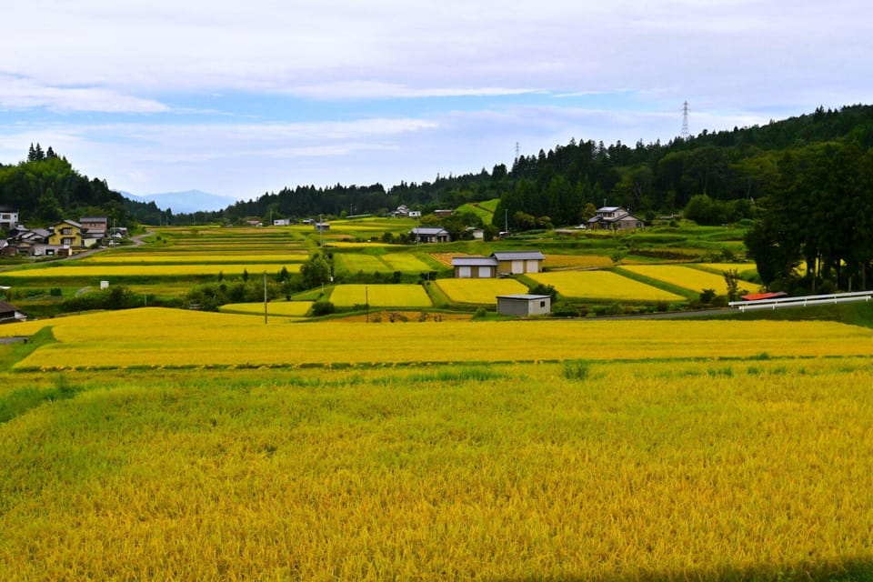 1-Day Tour From Nagoya: Hiking the Historic Nakasendo Trail - Highlights and Inclusions