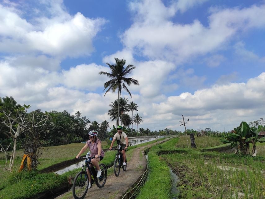 Country Side Electric Bike Tour - Booking Process