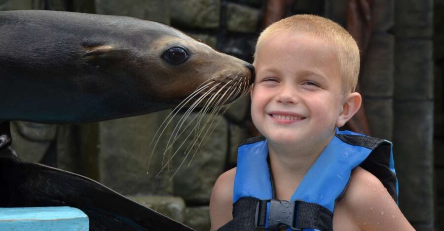 Cozumel: Sea Lion Program at Chankanaab Beach Adventure Park