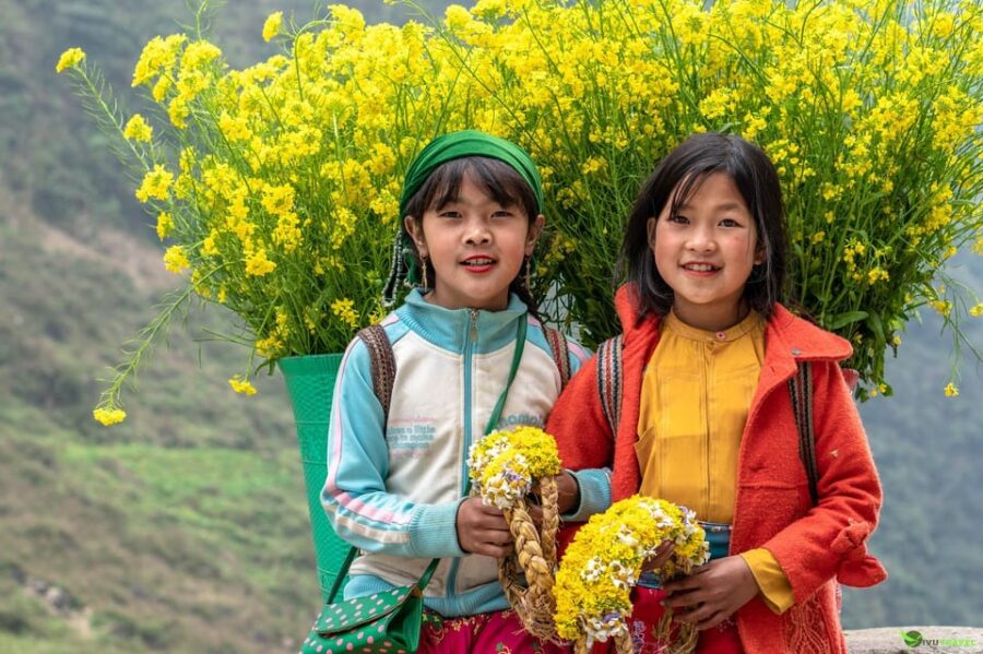 From Hanoi: Trekking To Explore Terraced Fields 2 Days - Overview and Pricing