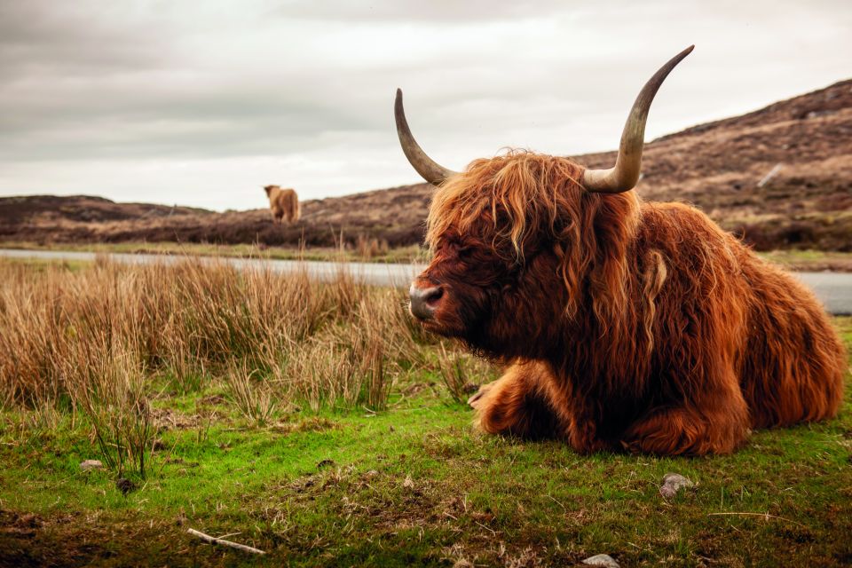 From Inverness: 3-Day Orkney Explorer - Discovering Ancient Orkney Sites