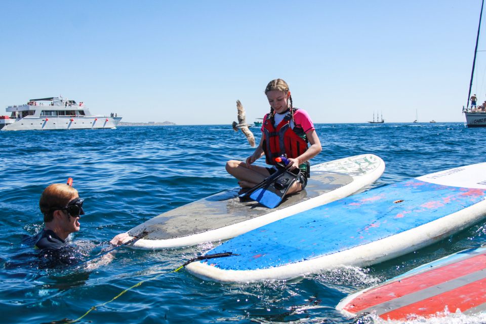 Los Cabos: Private Paddleboarding and Snorkeling Tour - Cancellation and Refund Policy