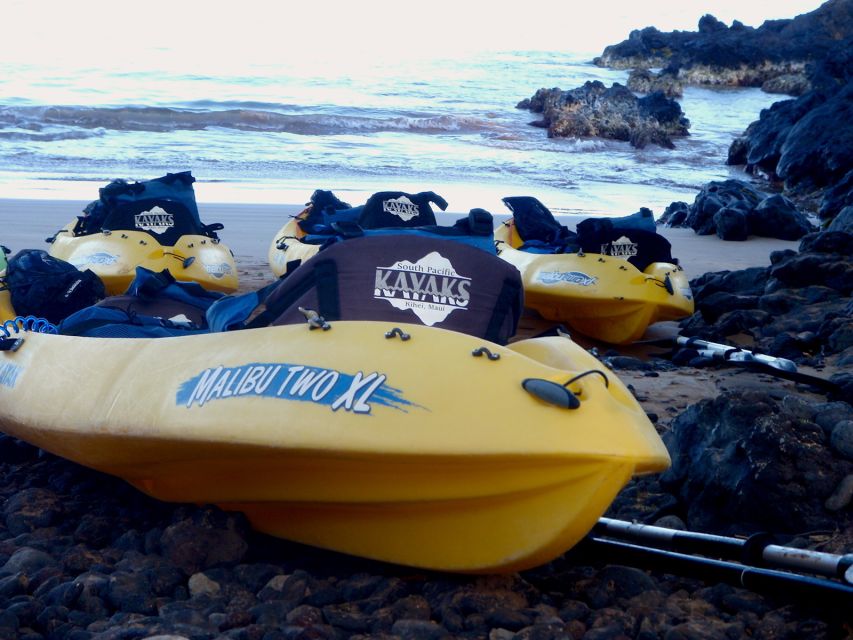 Maui: Turtle Town Kayak and Snorkel Tour - Important Considerations