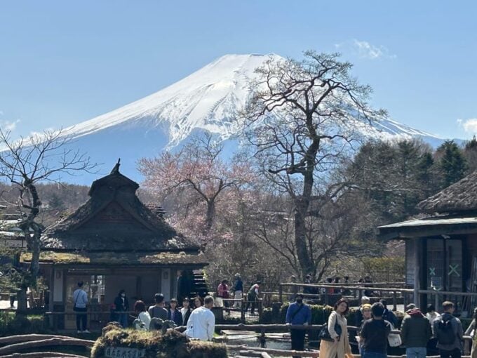 Mt.Fuji Tour, Tokyo / Yokohama ⇒ Tokyo, 2-4 Guests - Pickup and Logistics