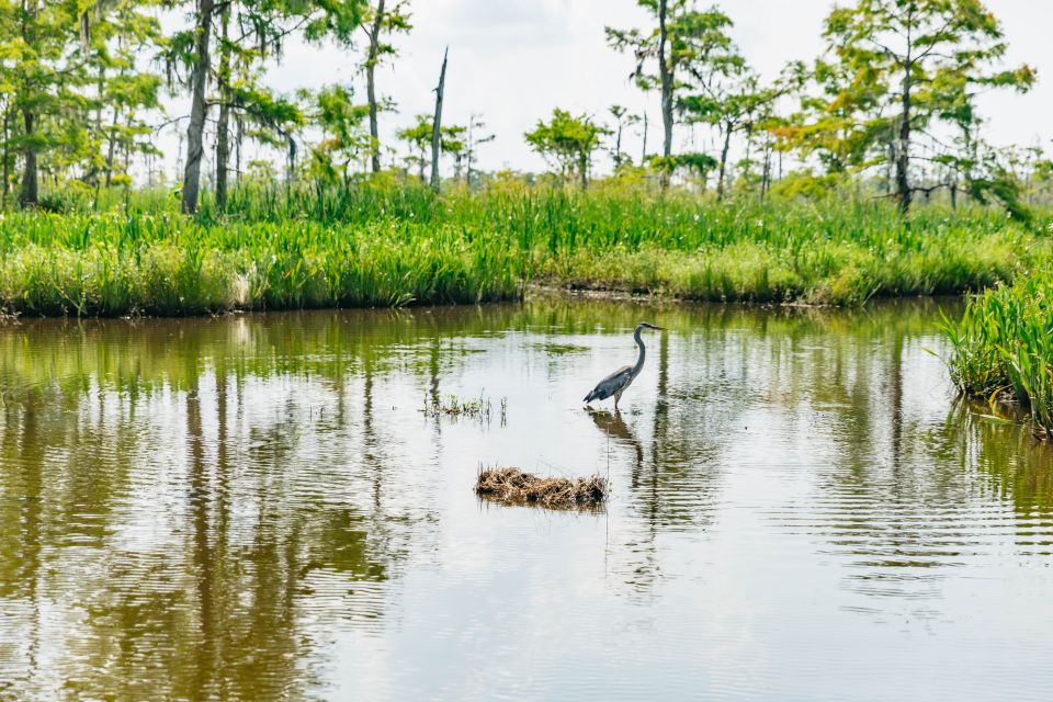 New Orleans: High Speed 9 Passenger Airboat Tour - Thrilling Airboat Adventure