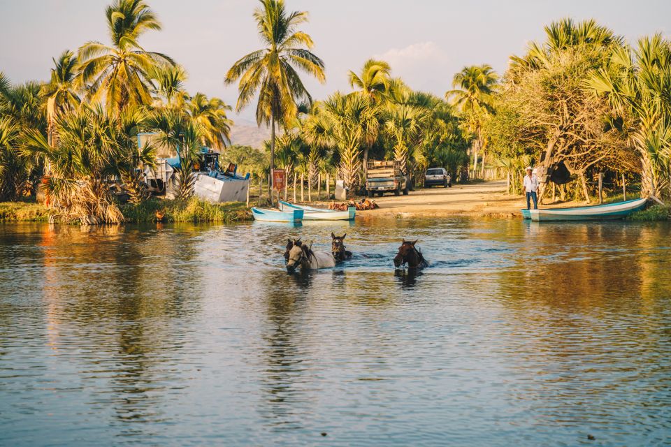 Puerto Escondido: Sunset Horse Riding Tour - Horses and Safety