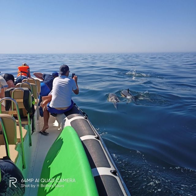 Sesimbra: Dolphin Watching Boat Tour With Biologist Guide