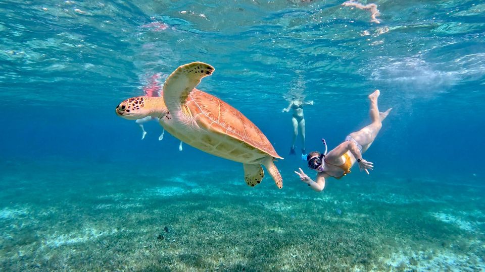 The Cozumel Turtle Sanctuary Snorkel Tour | PT