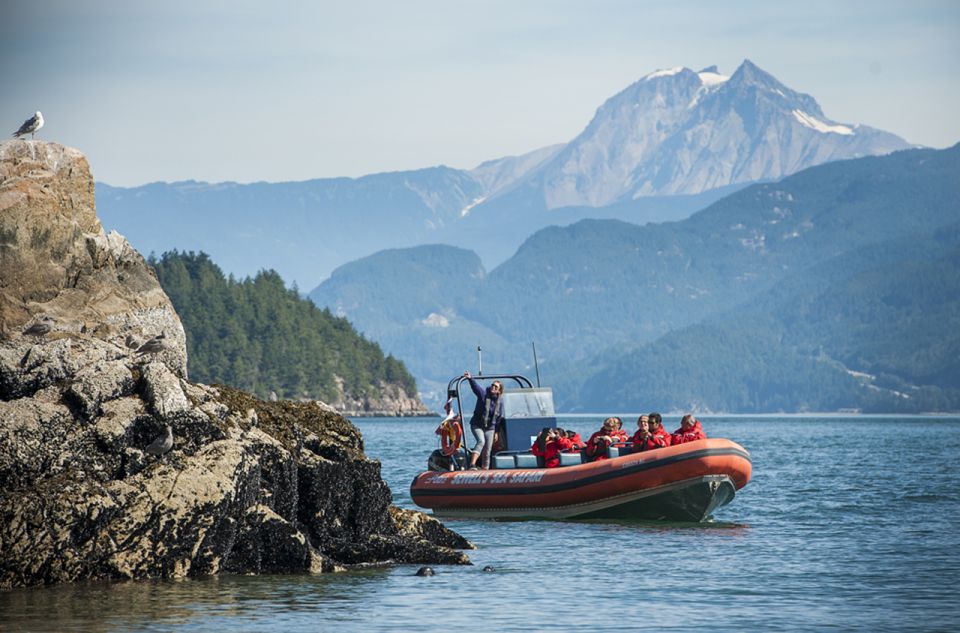 Vancouver: Howe Sound Fjords, Sea Caves & Wildlife Boat Tour - Availability and Reservations