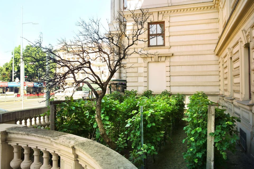 Vienna Vines & Tapas: Private Tasting Tour (9 Local Wines) - Cancelation and Reservations