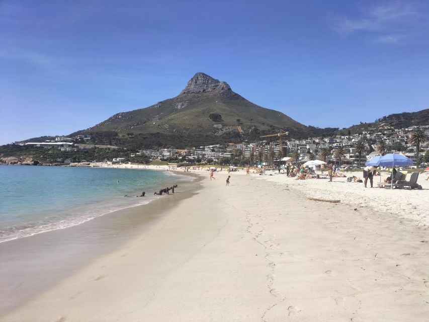 4-Days, Private Package Best of Cape Town - Convenient Transportation Included