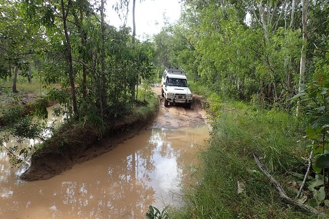 6-Day Best of Cairns Including the Great Barrier Reef, Kuranda and the Daintree Rainforest - Conditions and Accessibility