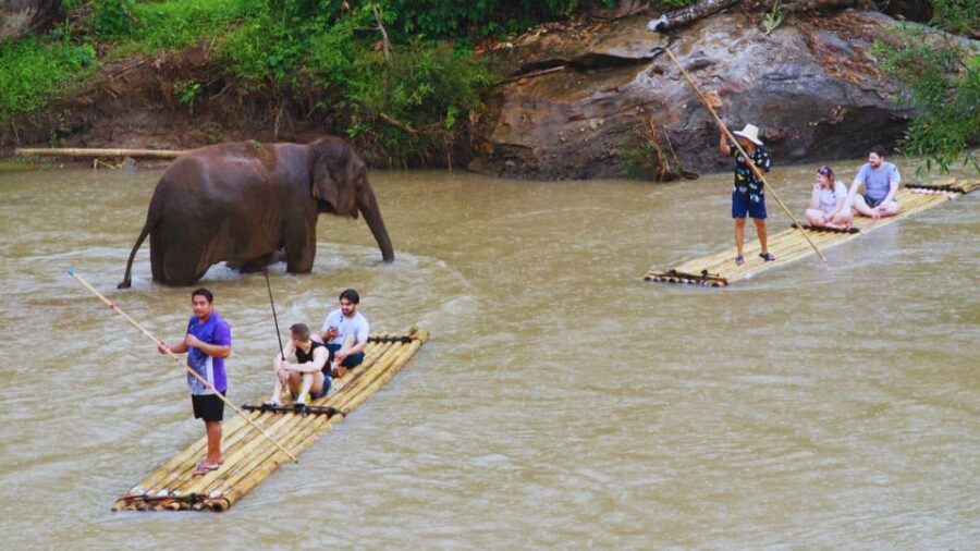 Chiang Mai: Living Green Elephant Sanctuary & Bamboo Rafting