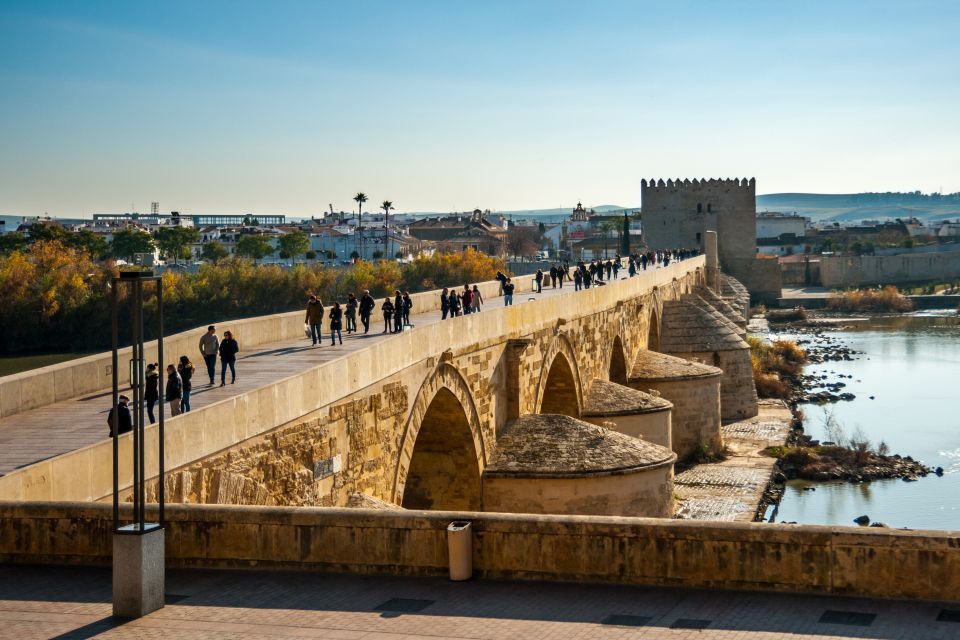 Córdoba: City Sightseeing Hop-On Hop-Off Bus Tour - Customer Reviews and Ratings