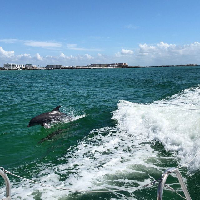 Destin: Dolphin Watch Cruise - Vessel Details and Capacity