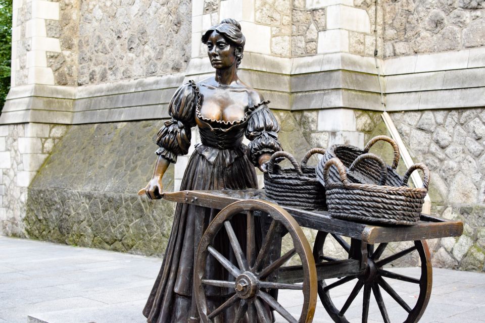 Dublin: Historic Guided Walking Tour & Dublin Castle Ticket - Language Options and Cancellation