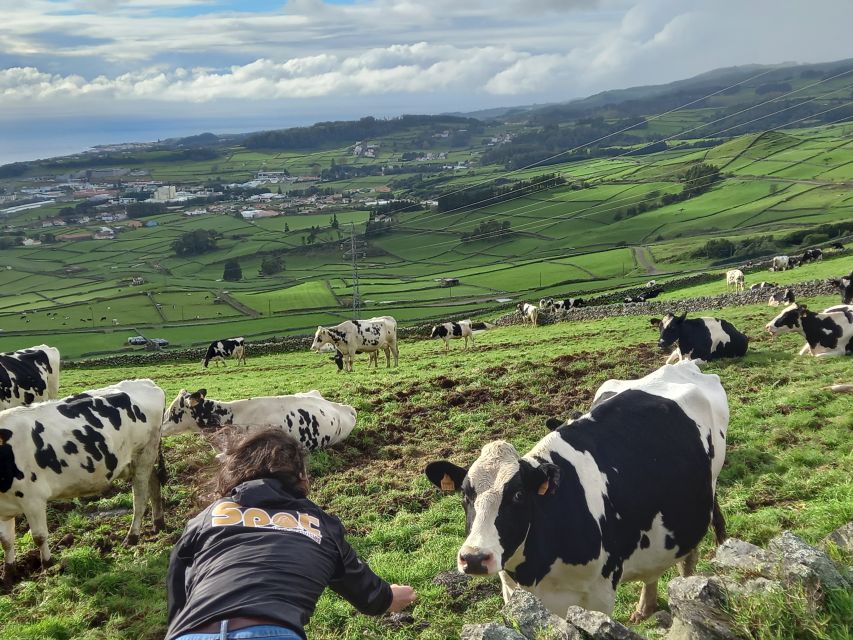From Angra: Terceira Island Full-Day Jeep Tour