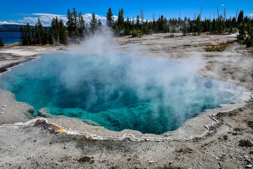 From Cody: Full-Day Yellowstone National Park Tour