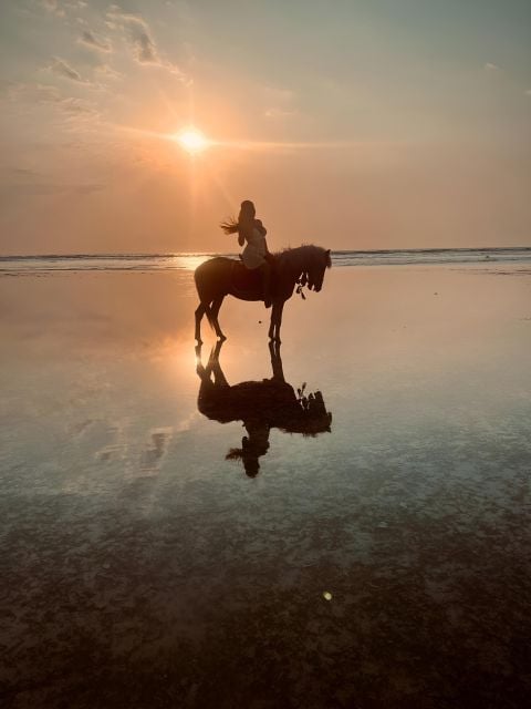 Horse Ride On The Beach on Gili Island - Suitability and Group Size