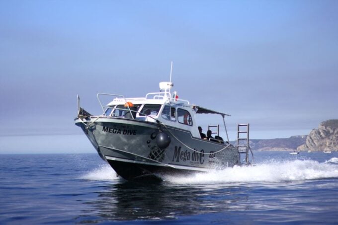 Sesimbra: Guided Dolphin Watching in Arrábida Natural Park - Getting to the Meeting Point