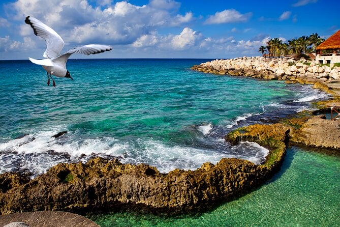 Xcaret Park Plus Tour! Nature, Culture and Nightshow From Cancun - Highlights of the Xcaret Park