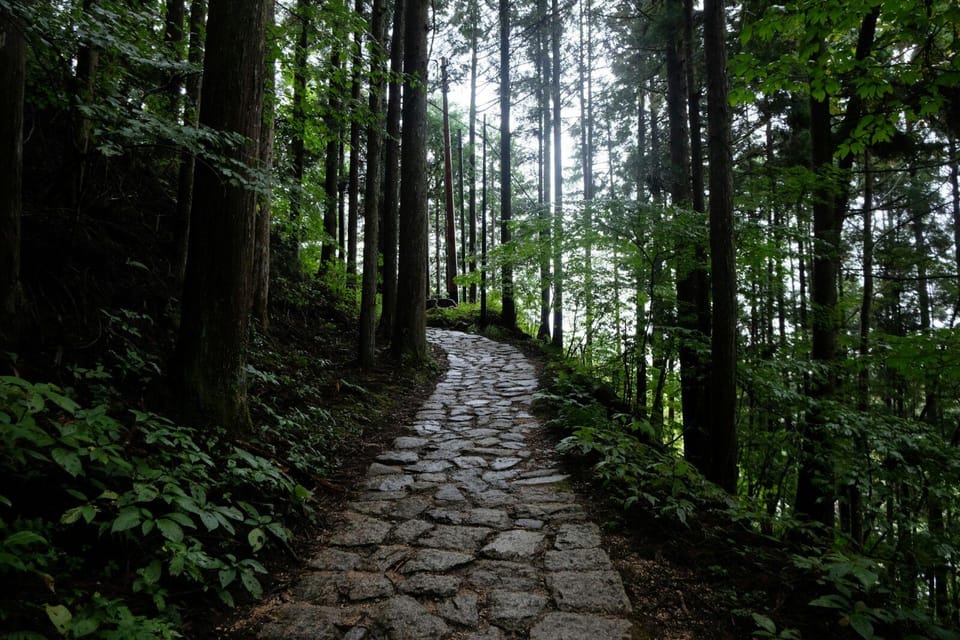 1-Day Tour From Nagoya: Hiking the Historic Nakasendo Trail - Booking and Availability