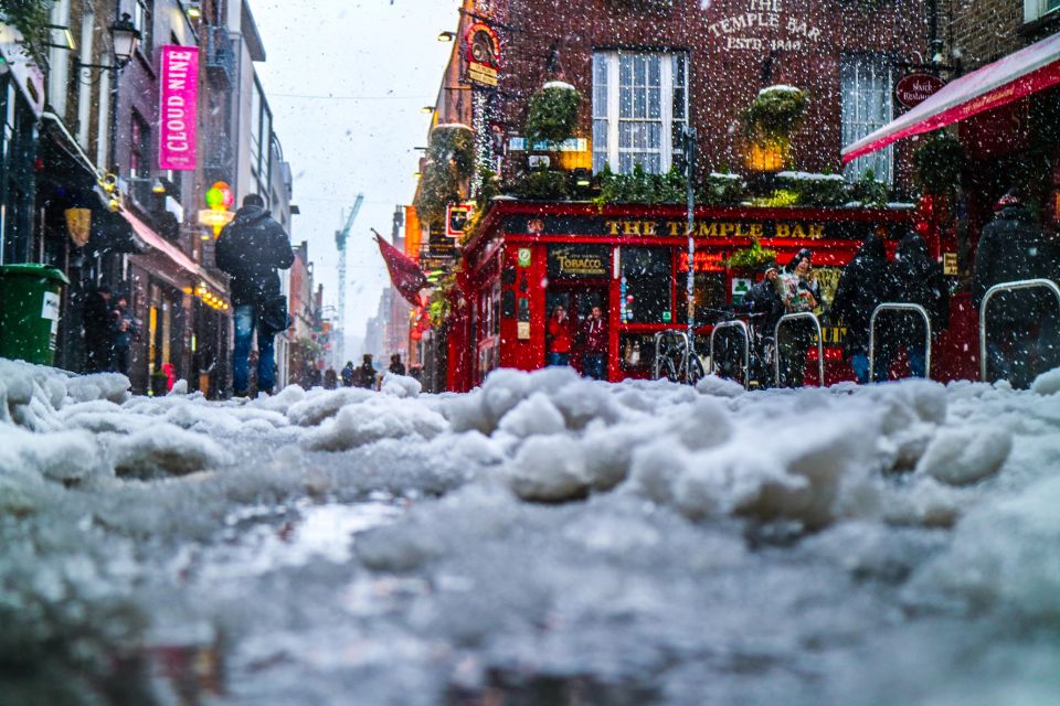 Dublin: Historic Guided Walking Tour & Dublin Castle Ticket - Dublin Castle Ticket Included