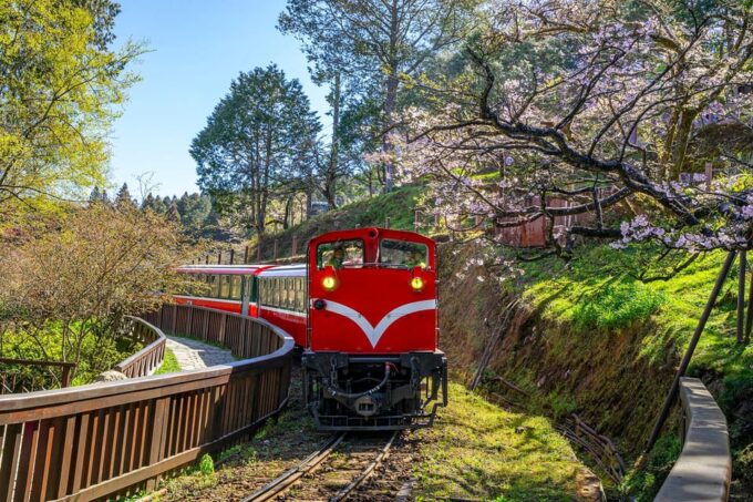 📸🌄 Exclusive 3-Day Sun Moon Lake & Alishan Private Tour - Additional Fees