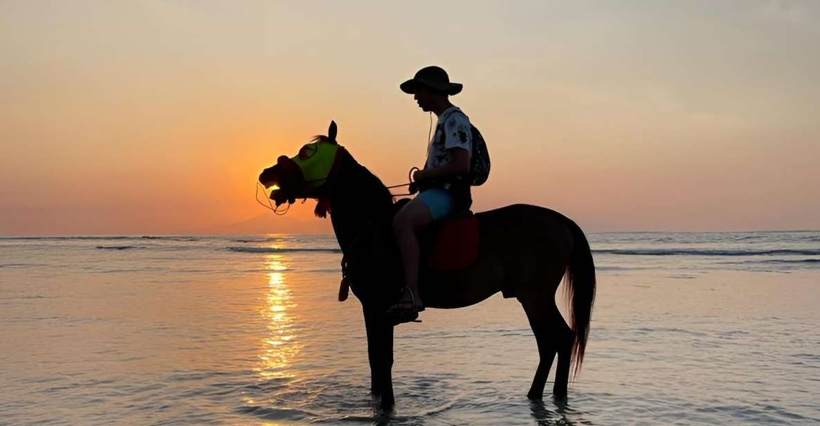 Horse Ride On The Beach on Gili Island - Booking and Cancellation Policy